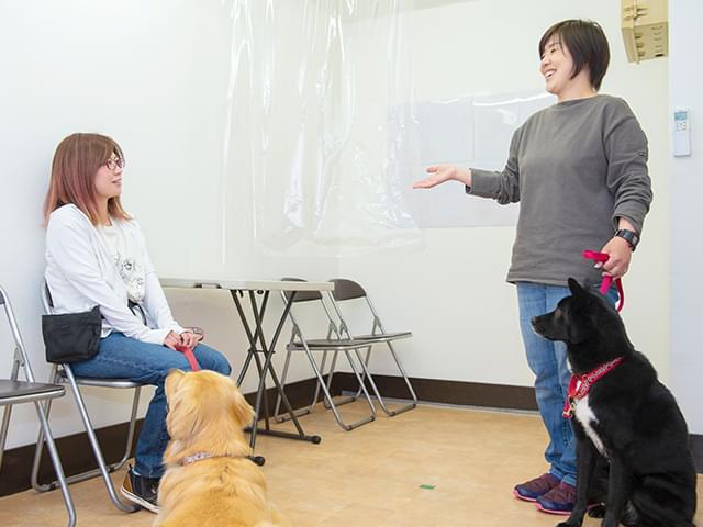 飼い主様に説明中の風景