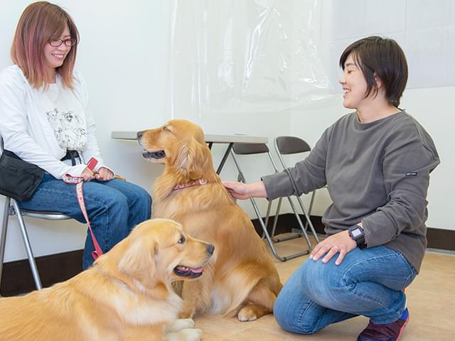 ワンちゃん