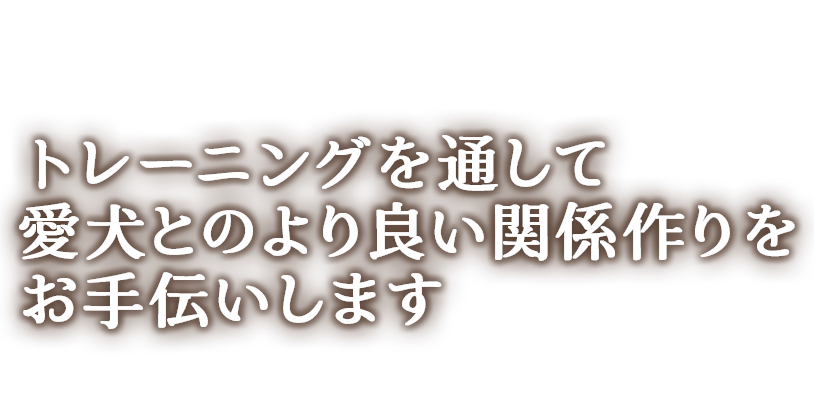 愛犬とのより良い関係作りを